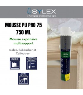 Mousse expansive polyuréthane mono-composante 1C Pro 750 ml
